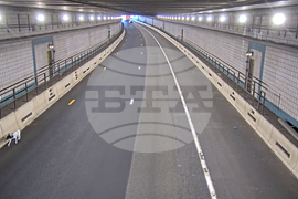 Dog Rescued Boston Tunnel