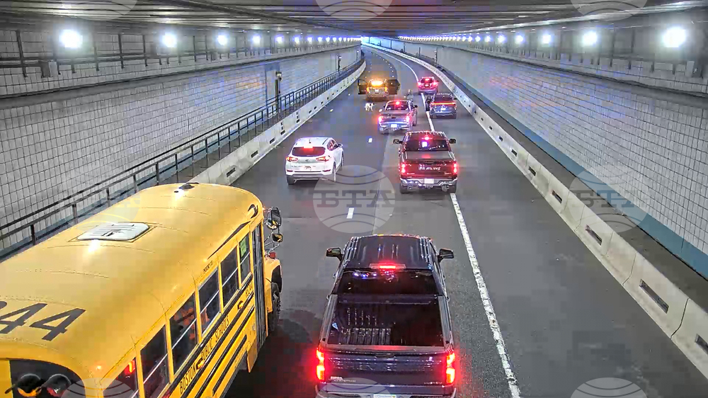 Dog Rescued Boston Tunnel