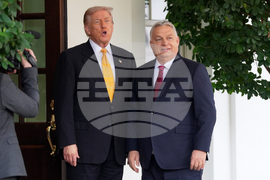 Trump US Hungary