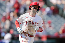 Arbitration Baseball