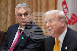 Trump US Hungary