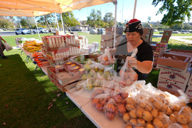 Government Shutdown Food Bank Military Families