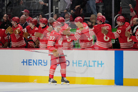 Rangers Red Wings Hockey