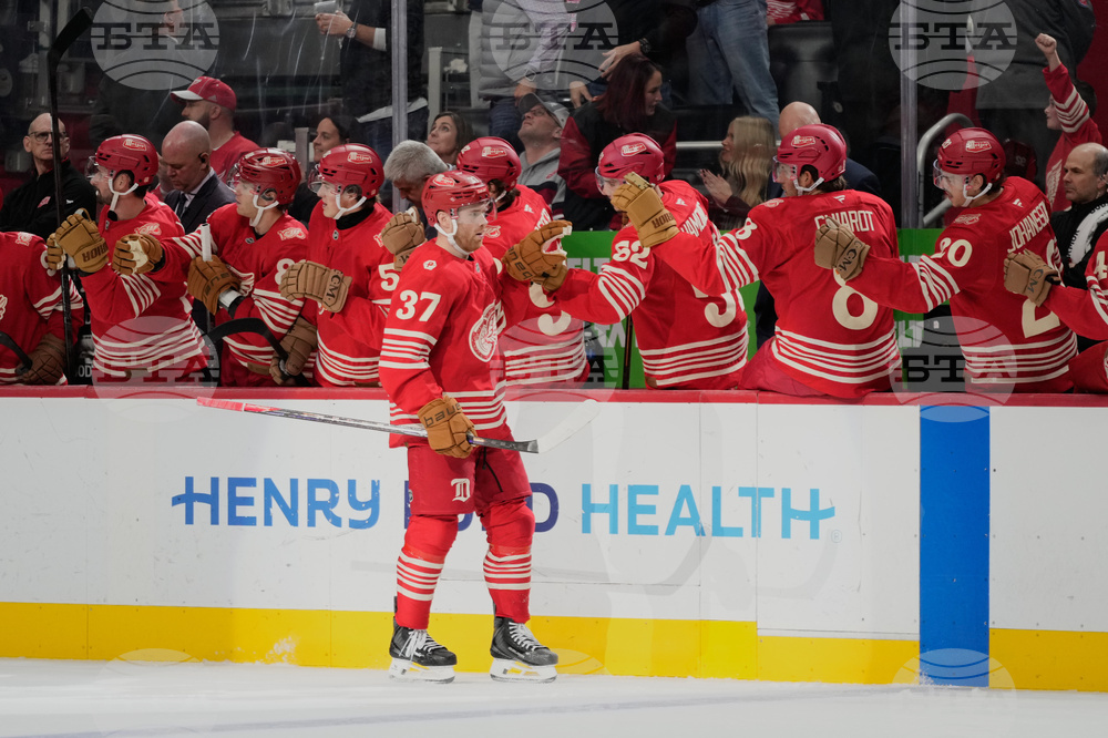 Rangers Red Wings Hockey