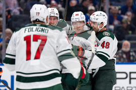 Wild Islanders Hockey