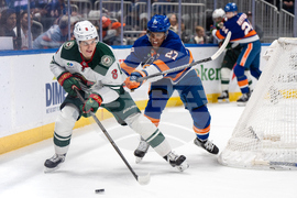 Wild Islanders Hockey