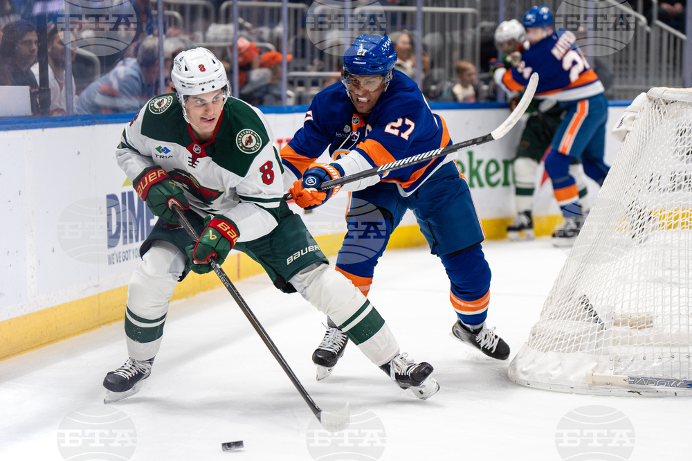 Wild Islanders Hockey