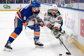 Wild Islanders Hockey