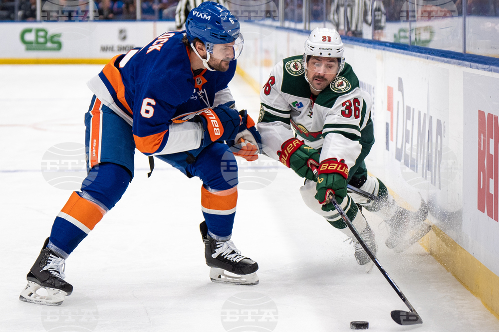 Wild Islanders Hockey