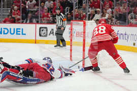 Rangers Red Wings Hockey