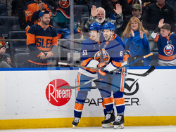 Wild Islanders Hockey