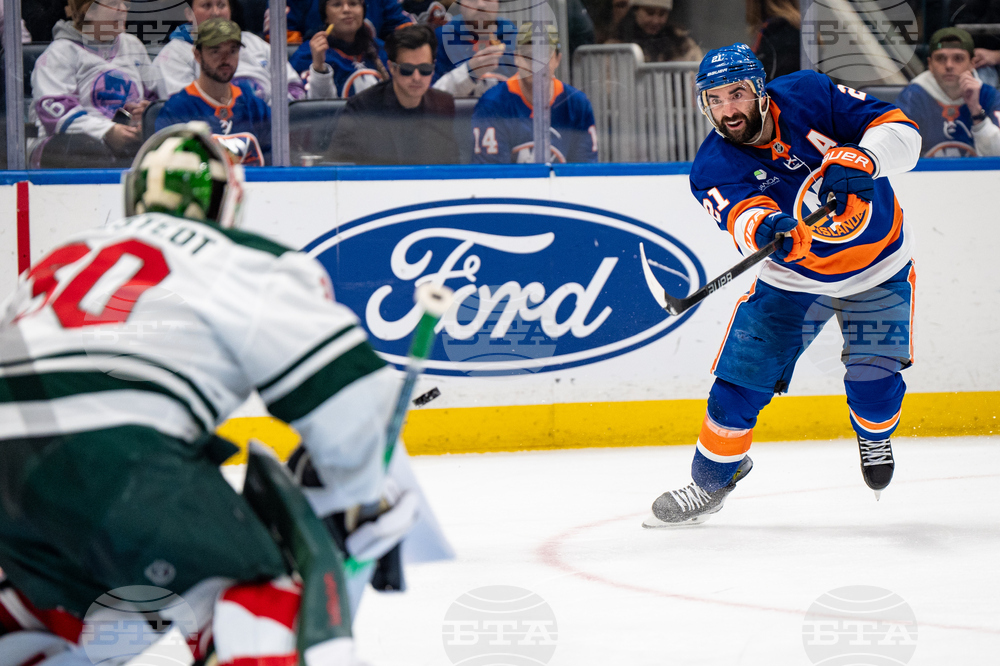 Wild Islanders Hockey