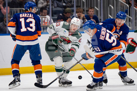 Wild Islanders Hockey