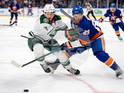 Wild Islanders Hockey