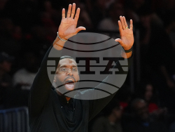 Hornets Heat Basketball