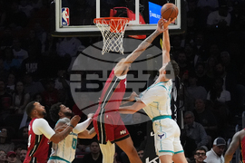 Hornets Heat Basketball