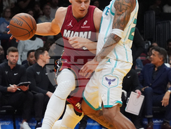 Hornets Heat Basketball