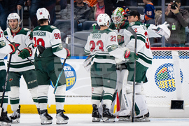 Wild Islanders Hockey