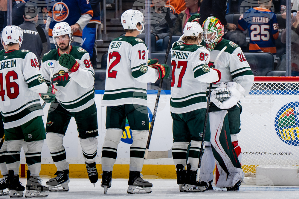 Wild Islanders Hockey