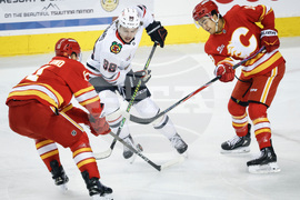 Blackhawks Flames Hockey