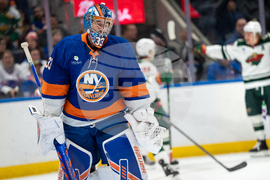 Wild Islanders Hockey