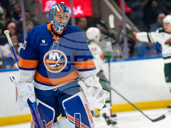 Wild Islanders Hockey