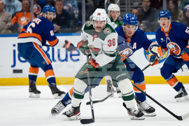 Wild Islanders Hockey