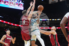 Hornets Heat Basketball