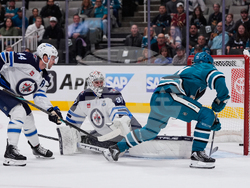 Jets Sharks Hockey