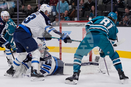 Jets Sharks Hockey