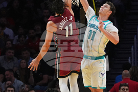 Hornets Heat Basketball