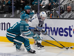 Jets Sharks Hockey