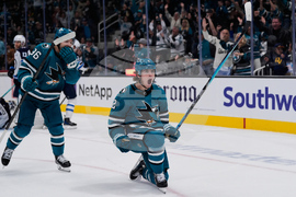 Jets Sharks Hockey