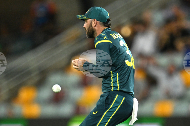 Australia India T20 Cricket