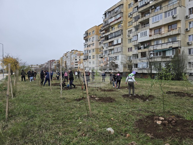 Враца - засаждане на дървета