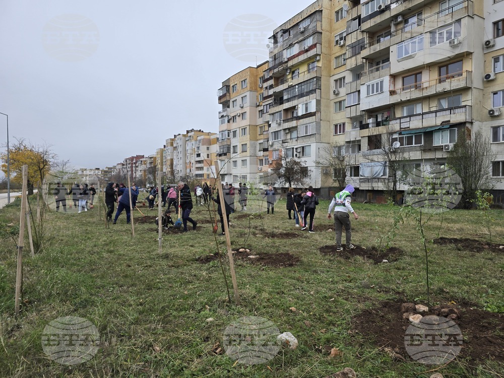 Враца - засаждане на дървета