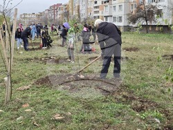 Враца - засаждане на дървета