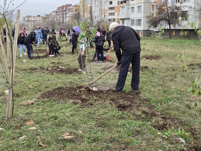 Във Враца бяха засадени над 500 дървета в пет квартала 