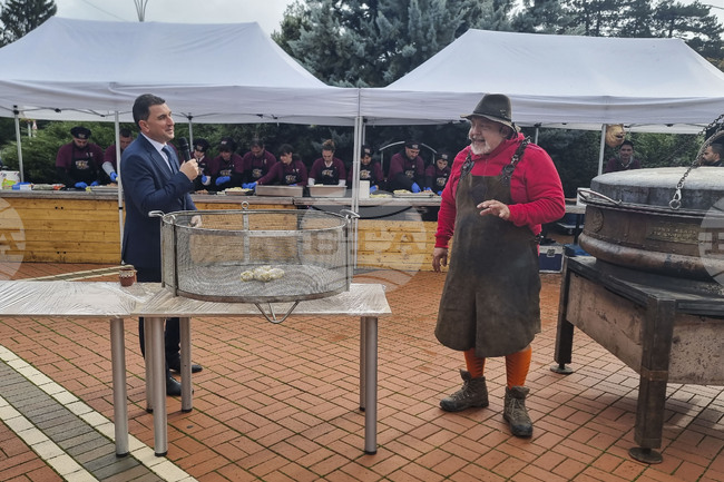 Генерал Тошево - фестивал