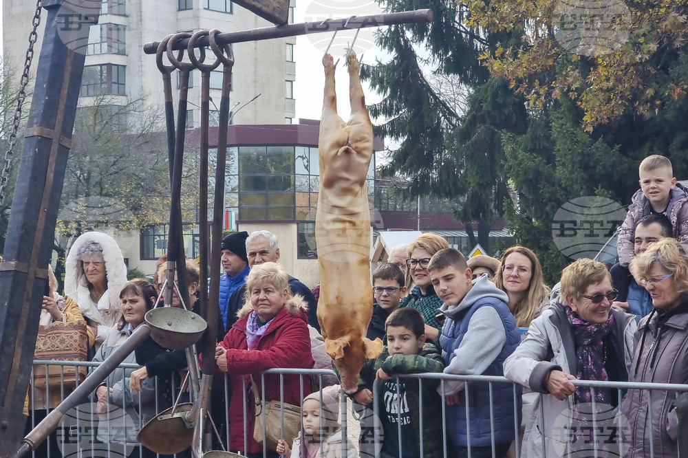 Генерал Тошево - Фестивал на сармата и кюфтето