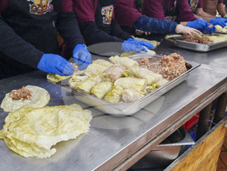  Генерал Тошево - фестивал