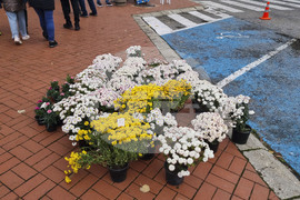 Генерал Тошево - Фестивал на сармата и кюфтето