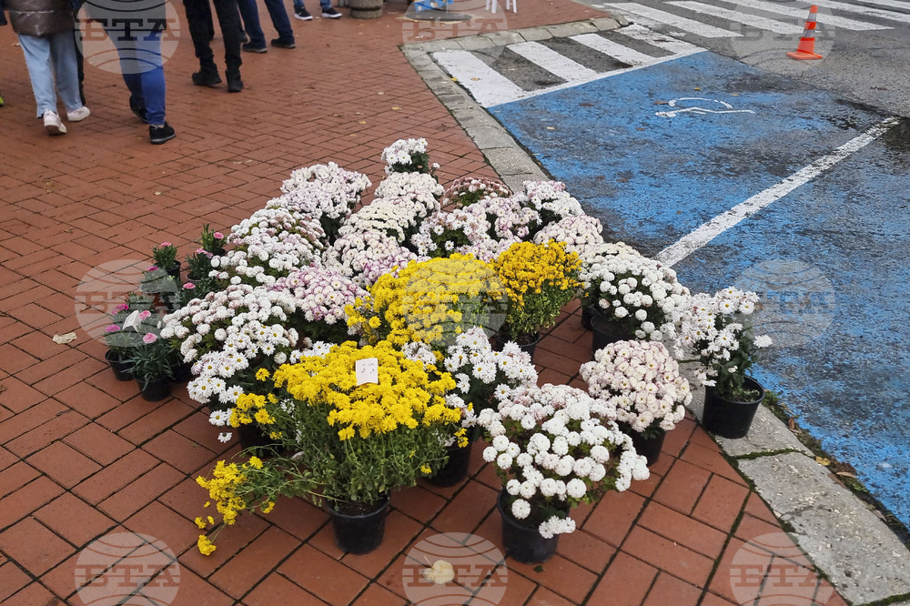 Генерал Тошево - Фестивал на сармата и кюфтето