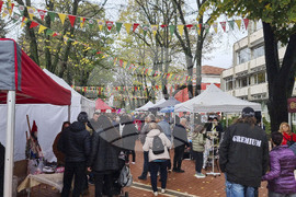 Генерал Тошево - Фестивал на сармата и кюфтето
