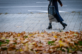 Снимка: Столична община 