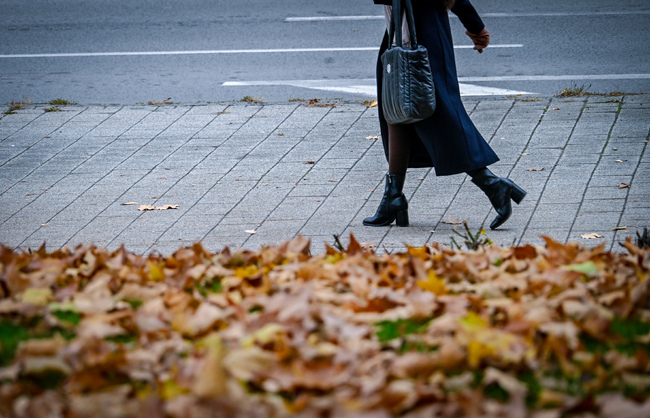 До края на октомври: Столичната община обнови над 93 хил. кв. метра тротоарни настилки