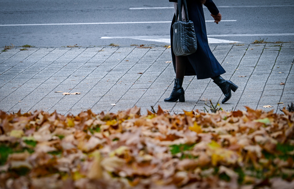 Снимка: Столична община 