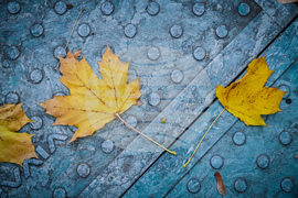 Снимка: Столична община 