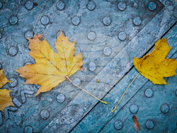 Снимка: Столична община 