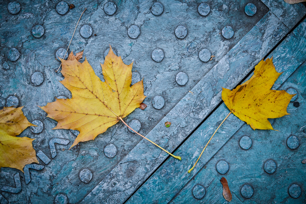 Снимка: Столична община 